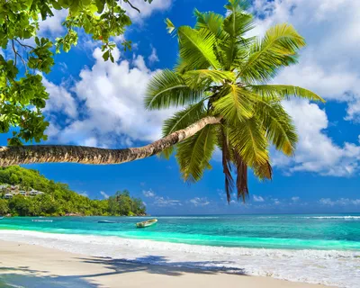 Літо природа море флізелінові фотошпалери 416x254 см 3Д Пейзаж Пляж Пісок  (11849VEXXXL) +клей купить по цене 2000,00 грн