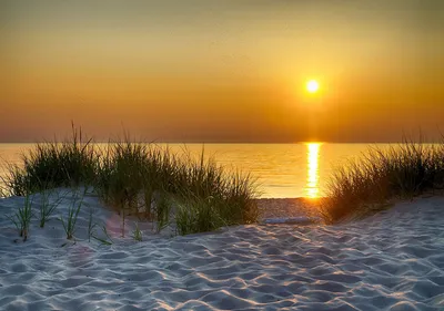 Флізелінові фотошпалери літо море 312x219 см 3D Природа Захід сонця Дві  пальми на березі океану (14614VEXXL)+клей купить по цене 1400,00 грн