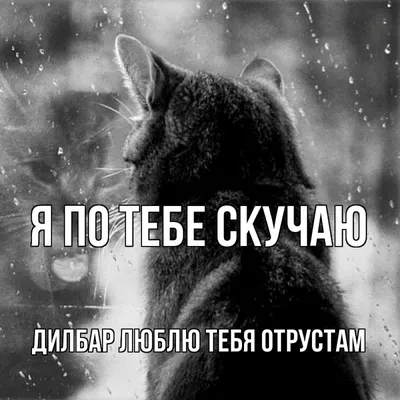 https://telegra.ph/Kartinki-Lyublyu-Skuchayu-Lyubimoj-Devushke-03-01