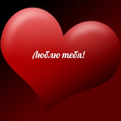 любовь❤ #💞💞 #ялюблютебя #люблю #безумнолюблю #❤️ #❤️ai❤️ | TikTok