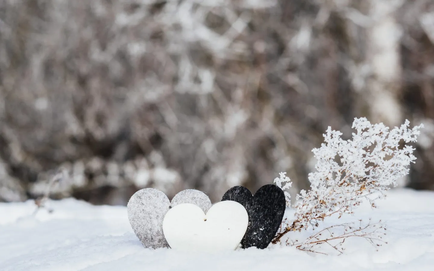 Я люблю снежку. Зима в сердце. Первый снег и любовь обои на телефон. Sneg Love.