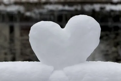 Фильмы о зиме и любви: подборка романтического кино
