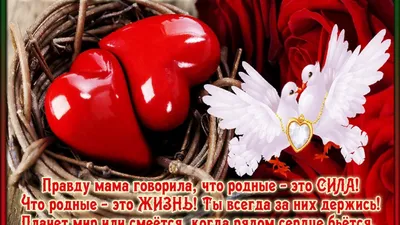 Выбирай себя каждый день. Ежедневные ритуалы для привлечения любви, счастья  и гармонии Фиби Гансуорси - купить книгу Выбирай себя каждый день.  Ежедневные ритуалы для привлечения любви, счастья и гармонии в Минске —