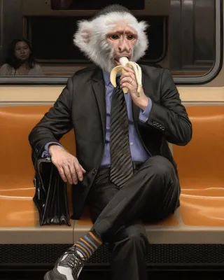 Люди с головами животных едут рядом с вами в метро на сюрреалистичных  картинах Мэтью Грабельски