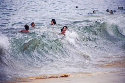 Люди, идущие на берегу моря · Бесплатные стоковые фото
