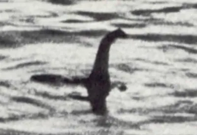 Фото животного в озере Лох-Несс вызвало шутки о чудовище