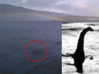 В честь 90-летия Несси исследователи показали настоящее фото Лох-Несского  чудовища, а не знаменитую подделку