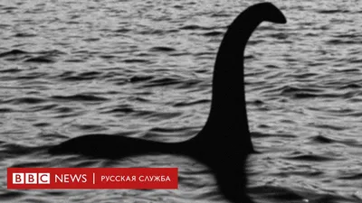 Лохнесское чудовище (серия) | Скуби Ду Вики | Fandom