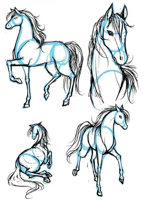 Рисунки лошадей простым карандашом для начинающих (49 фото) » рисунки для  срисовки на Газ-квас.ком