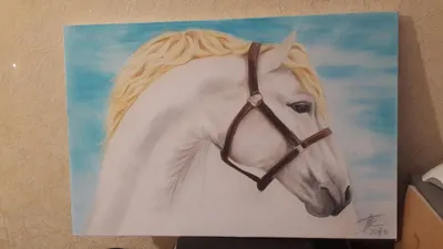 Рисунки лошадей для срисовки (39 лучших фото)