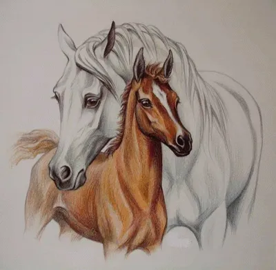 Рисунки коней и лошадей - 51 фото