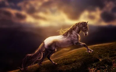 Красивая лошадь фентези, красиво, …» — создано в Шедевруме