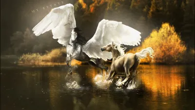 Фото Лошадь с хвостом павлина, художник aomori