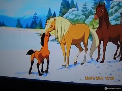 КСК Рыжая Лошадь Абакан - Топ 5 мультфильмов с лошадьми от «Рыжей Лошади»  1. Спирит: Душа прерий (2002) просто чудесный мультфильм о свободе, любви,  и дружбе☺️ 2. Три богатыря (все части) +