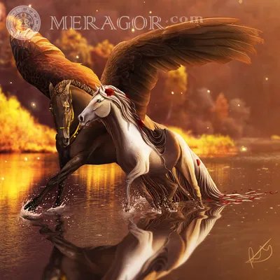 MERAGOR | Крылатые лошади на аву