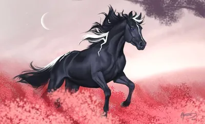 Чёрная лошадь с белыми прядями бежит по полю красных цветов | Картинка на  аву
