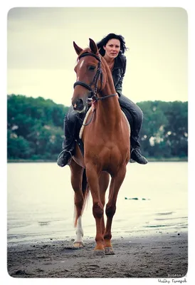 Фото девушки верхом на лошадях - подборка