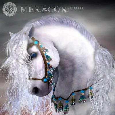 MERAGOR | Красивые картинки на аву с лошадьми