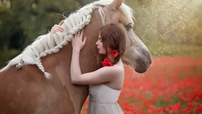 Картинка скачущей белой лошади. Скачать аватар просто с красивой лошадью. —  Фотографии на аву