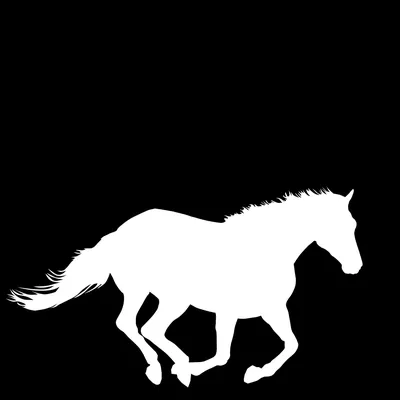Белая лошадь Стоковые фотографии, картинки, все без лицензионных отчислений  - Envato Elements