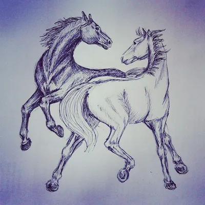 рисуем карандашом лошадь
