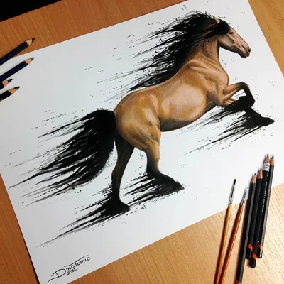 как рисовать лошадь png | PNGWing
