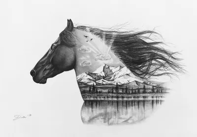 Видео Рисунки лошадей. KАК НАРИСОВАТЬ ЛОШАДЬ карандашом | OK.RU