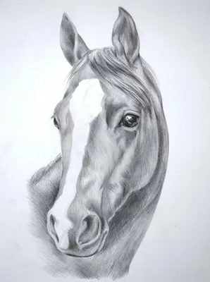 Нарисованная лошадка - 78 фото