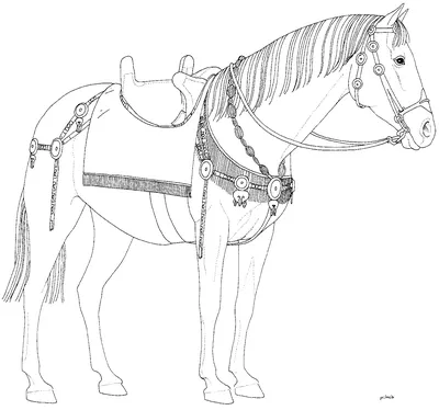 Девушка на лошади рисунок карандашом (42 фото)