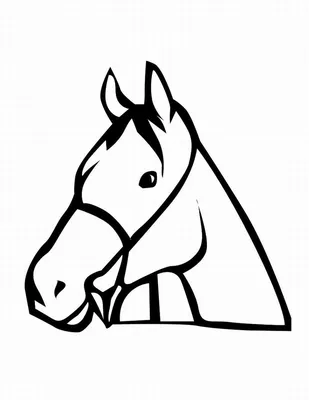 Легкие рисунки лошади - 64 фото