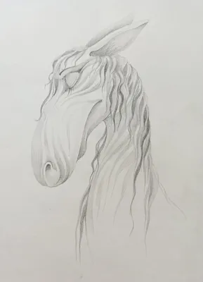 Черно-белая лошадь, раскрашенные вручную фигуры и лошади, лошадь, акварель,  белый png | PNGWing
