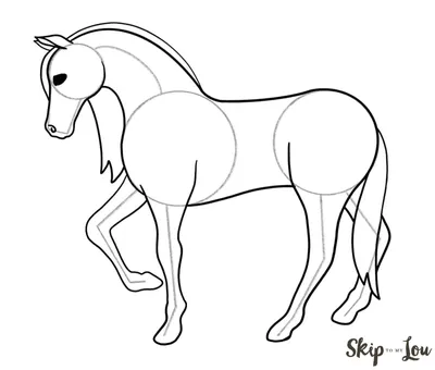 Как нарисовать лошадь: 24 подробные инструкции - Лайфхакер