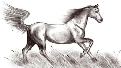 Урок. Рисуем лошадей