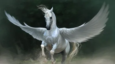 Пегас, Крылатый Конь | Лошади | Дзен
