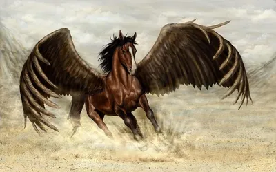 Вот такой Пегас получился… люблю лошадей! 🐎❤️#лошадь#пегас#рисую#графикаручкой#лошадькартина#зарисовка#sketch#atrhorse#horse#pegas  | Instagram