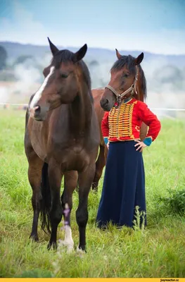 Ржачные картинки про ржачного коня (49 фото) » Юмор, позитив и много  смешных картинок