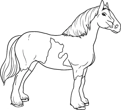 Раскраска животных лошади. раскраски животных раскраски лошади. Печатать  раскарску.