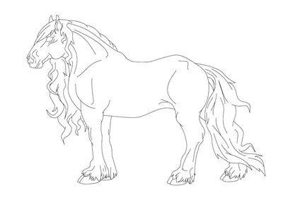 Раскраска Лошадь с наездником распечатать или скачать