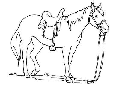 Раскраска Работящая лошадь распечатать - Лошади и пони