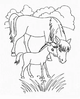 Раскраски лошади на ферме ферма лошадь трава Раскраски для детей мальчиков