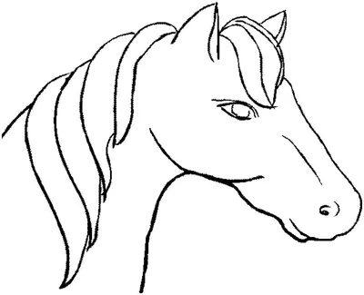 Раскраски лошадь на дыбах лошадь раскраски красивая Скачать раскраски для  мальчиков