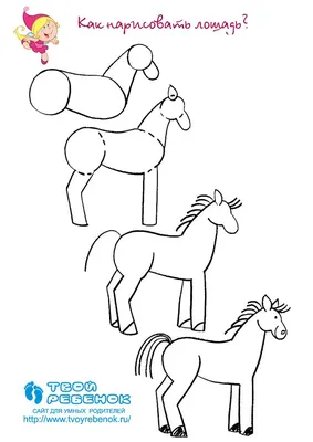 Как нарисовать лошадь | Учимся рисовать лошадь карандашом поэтапно |  Рисование, Рисовать, Рисовать животных