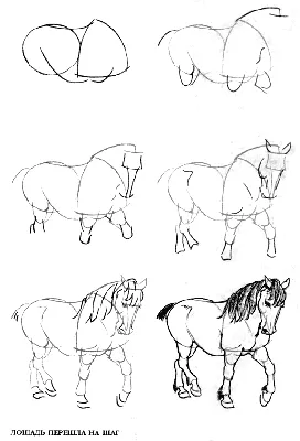 Как нарисовать лошадь? | Рисование, Рисовать, Как рисовать