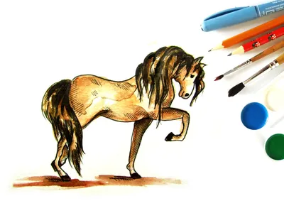 Как рисовать лошадь для начинающих | Бесплатные онлайн уроки от Художник  Онлайн