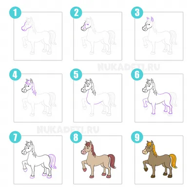 Как нарисовать лошадь карандашом: пошаговый урок для детей, учимся рисовать  легко и красиво