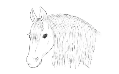 Как нарисовать лошадь пошагово карандашом: урок рисования для детей