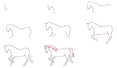 Иллюстрация 1 из 6 для Учитесь рисовать лошадей - Дэвид Браун | Лабиринт -  книги. Источник: Лабиринт