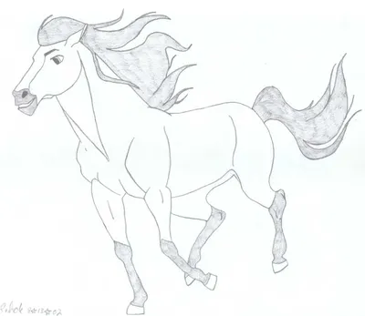 Как нарисовать лошадь — Пошаговые уроки рисования