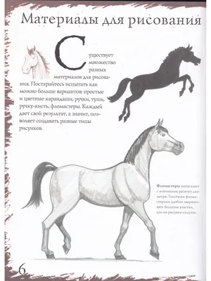Как нарисовать лошадь? | Horse drawings, Animal drawings, Drawings