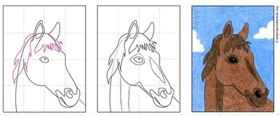 Как нарисовать портрет лошади акварелью